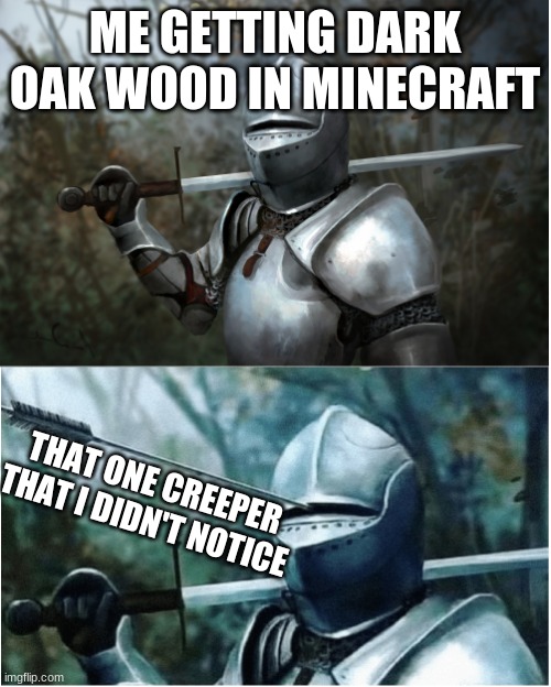 noooooo | ME GETTING DARK OAK WOOD IN MINECRAFT; THAT ONE CREEPER THAT I DIDN'T NOTICE | image tagged in knight with arrow in helmet | made w/ Imgflip meme maker