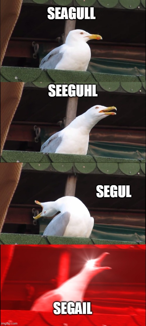 Inhaling Seagull Meme | SEAGULL; SEEGUHL; SEGUL; SEGAIL | image tagged in memes,inhaling seagull | made w/ Imgflip meme maker