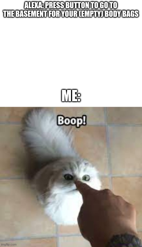 boop | ALEXA: PRESS BUTTON TO GO TO THE BASEMENT FOR YOUR (EMPTY) BODY BAGS; ME: | image tagged in blank white template | made w/ Imgflip meme maker