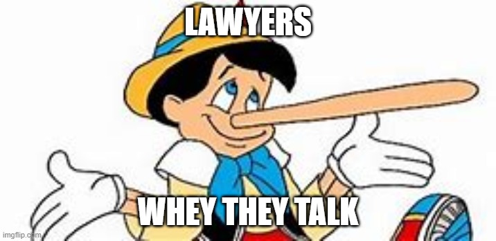 LAWYERS; WHEY THEY TALK | image tagged in lawyers | made w/ Imgflip meme maker