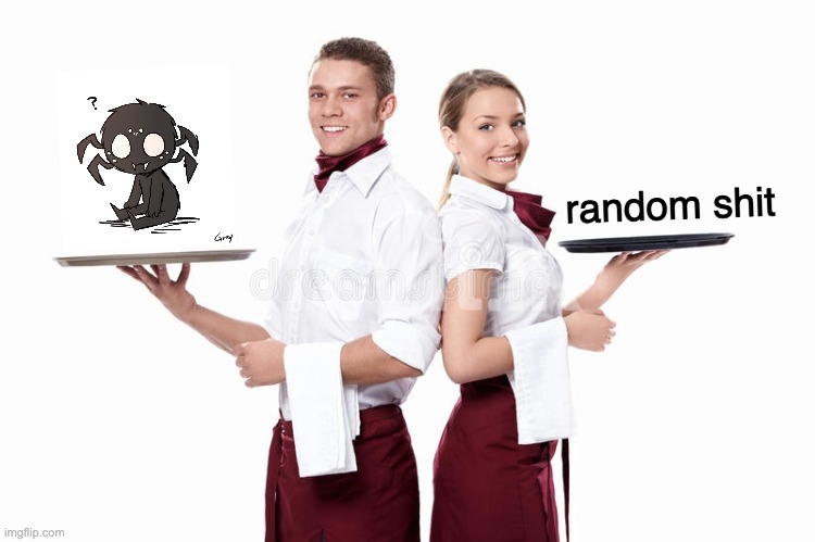 your usual | random shit | image tagged in your usual | made w/ Imgflip meme maker