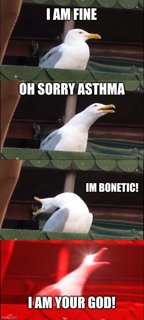 Inhaling Seagull | I AM FINE; OH SORRY ASTHMA; IM BONETIC! I AM YOUR GOD! | image tagged in memes,inhaling seagull | made w/ Imgflip meme maker