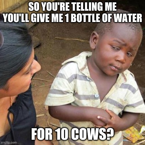 hmmm | SO YOU'RE TELLING ME YOU'LL GIVE ME 1 BOTTLE OF WATER; FOR 10 COWS? | image tagged in memes,third world skeptical kid | made w/ Imgflip meme maker