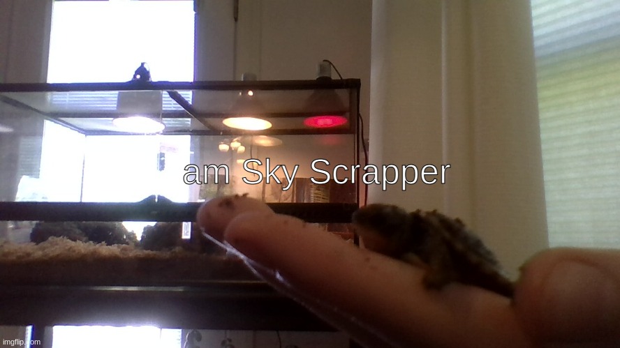 am Sky Scrapper | made w/ Imgflip meme maker