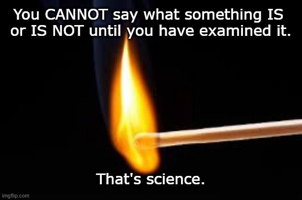 The Science of Examination | You CANNOT say what something IS 
or IS NOT until you have examined it. That's science. | image tagged in matches | made w/ Imgflip meme maker