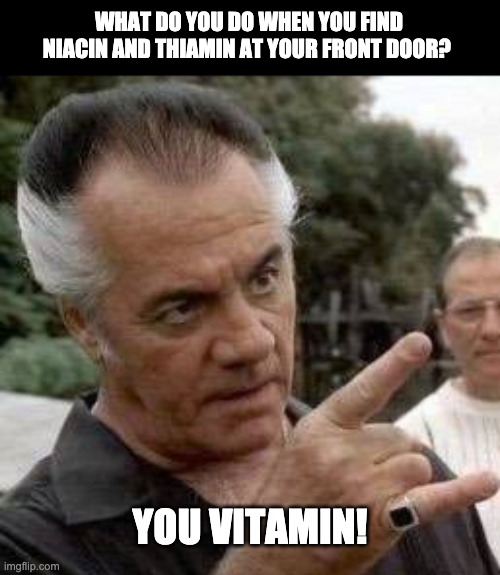 Vitamin | WHAT DO YOU DO WHEN YOU FIND NIACIN AND THIAMIN AT YOUR FRONT DOOR? YOU VITAMIN! | image tagged in paulie walnuts | made w/ Imgflip meme maker