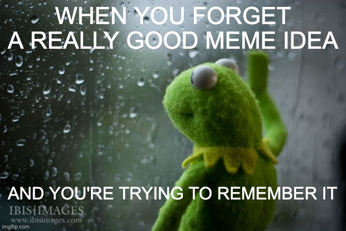 kermit window | WHEN YOU FORGET A REALLY GOOD MEME IDEA; AND YOU'RE TRYING TO REMEMBER IT | image tagged in kermit window | made w/ Imgflip meme maker