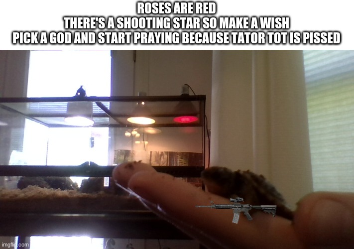 ROSES ARE RED
THERE'S A SHOOTING STAR SO MAKE A WISH
PICK A GOD AND START PRAYING BECAUSE TATOR TOT IS PISSED | made w/ Imgflip meme maker