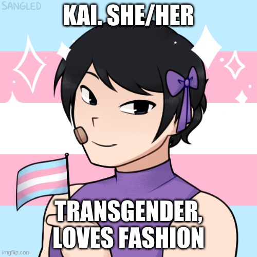 Give me some feedback if you like em. Tell me if there's anyone you want me to make | KAI. SHE/HER; TRANSGENDER, LOVES FASHION | made w/ Imgflip meme maker