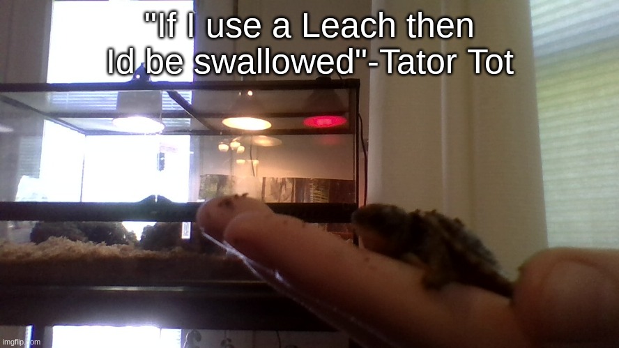 "If I use a Leach then Id be swallowed"-Tator Tot | made w/ Imgflip meme maker