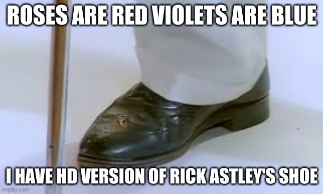 Why did I make this? | ROSES ARE RED VIOLETS ARE BLUE; I HAVE HD VERSION OF RICK ASTLEY'S SHOE | image tagged in rick astley | made w/ Imgflip meme maker