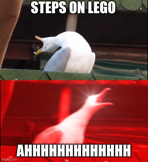 steping on lego | STEPS ON LEGO; AHHHHHHHHHHHHH | image tagged in screaming bird | made w/ Imgflip meme maker