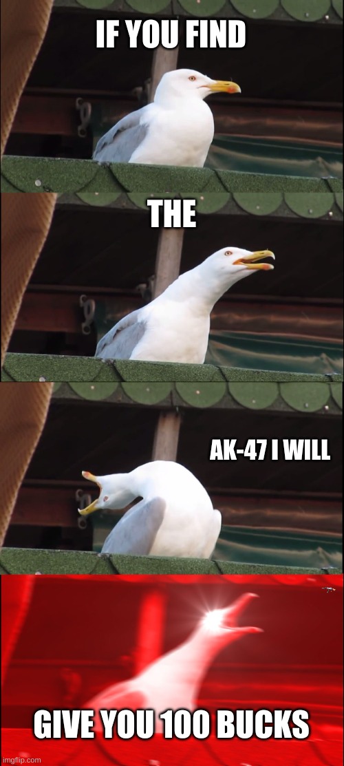 IF YOU FIND THE AK-47 I WILL GIVE YOU 100 BUCKS | image tagged in memes,inhaling seagull | made w/ Imgflip meme maker