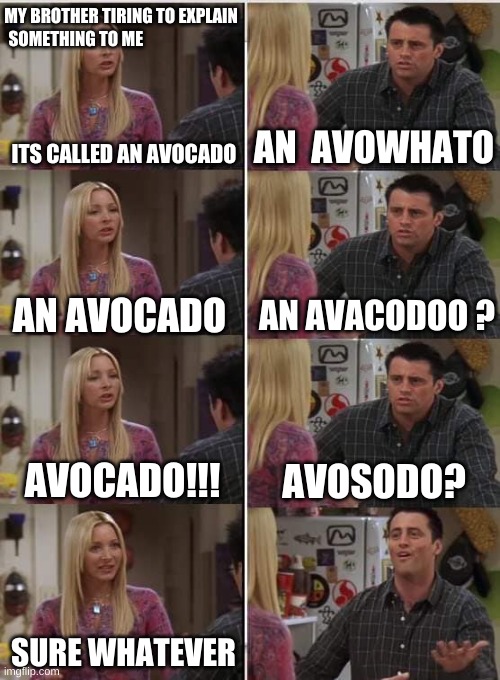 AVOCODO | MY BROTHER TIRING TO EXPLAIN SOMETHING TO ME; ITS CALLED AN AVOCADO; AN  AVOWHATO; AN AVACODOO ? AN AVOCADO; AVOCADO!!! AVOSODO? SURE WHATEVER | image tagged in phoebe joey | made w/ Imgflip meme maker