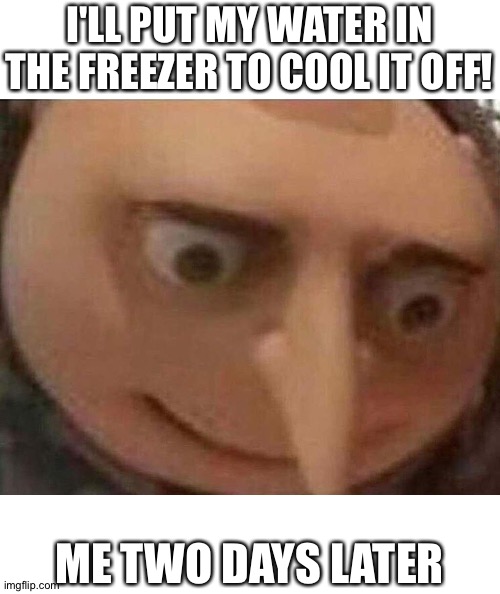 ... | I'LL PUT MY WATER IN THE FREEZER TO COOL IT OFF! ME TWO DAYS LATER | image tagged in gru meme,water,freezer | made w/ Imgflip meme maker