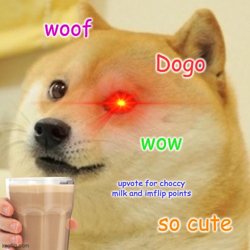 Woof | woof; Dogo; wow; upvote for choccy milk and imflip points; so cute | image tagged in memes,doge | made w/ Imgflip meme maker