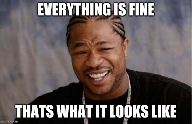 Yo Dawg Heard You Meme | EVERYTHING IS FINE; THATS WHAT IT LOOKS LIKE | image tagged in memes,yo dawg heard you | made w/ Imgflip meme maker