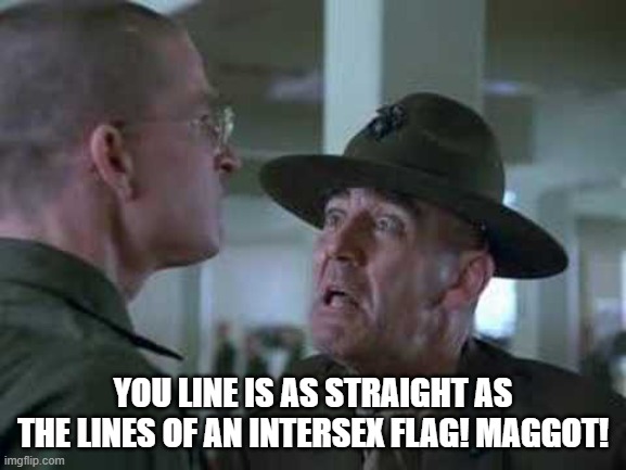 SGT Hartman Wat | YOU LINE IS AS STRAIGHT AS THE LINES OF AN INTERSEX FLAG! MAGGOT! | image tagged in sgt hartman wat | made w/ Imgflip meme maker