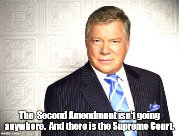 Denny Crane | The  Second Amendment isn't going anywhere.  And there is the Supreme Court. | image tagged in denny crane | made w/ Imgflip meme maker