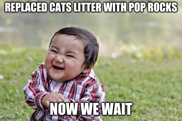 Evil Toddler |  REPLACED CATS LITTER WITH POP ROCKS; NOW WE WAIT | image tagged in memes,evil toddler | made w/ Imgflip meme maker