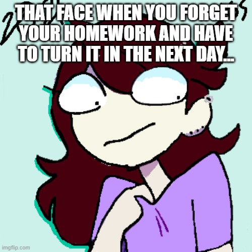 That Face | THAT FACE WHEN YOU FORGET YOUR HOMEWORK AND HAVE TO TURN IT IN THE NEXT DAY... | image tagged in that face,jaiden animations | made w/ Imgflip meme maker