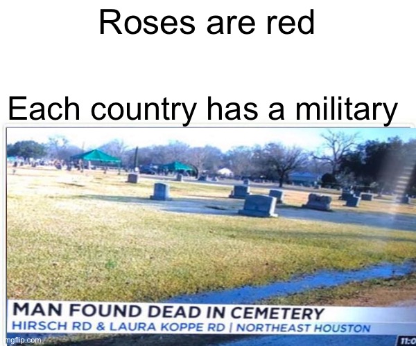 Only one? | Roses are red; Each country has a military | image tagged in roses are red,cemetery,fail,wut,what | made w/ Imgflip meme maker
