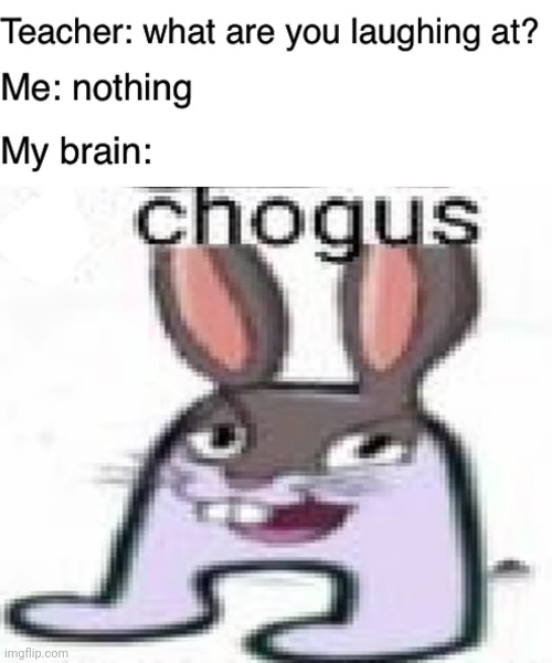 Chogus | image tagged in teacher what are you laughing at,big chungus,amogus,funny,memes | made w/ Imgflip meme maker
