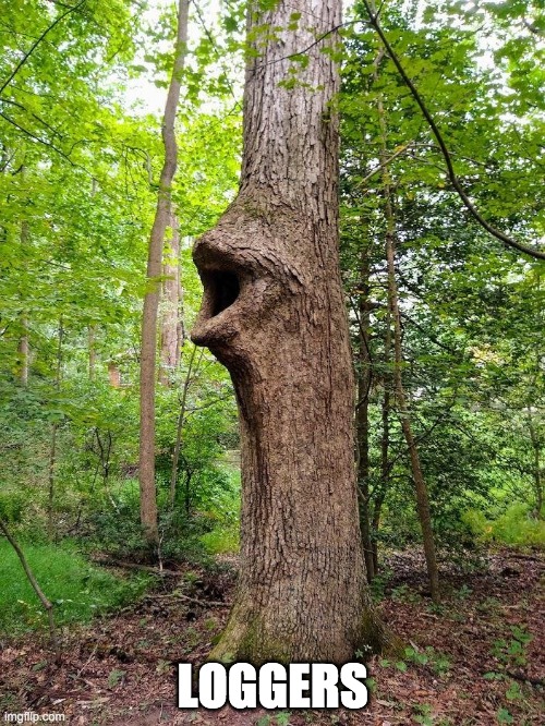 Pog tree | LOGGERS | image tagged in pog tree | made w/ Imgflip meme maker