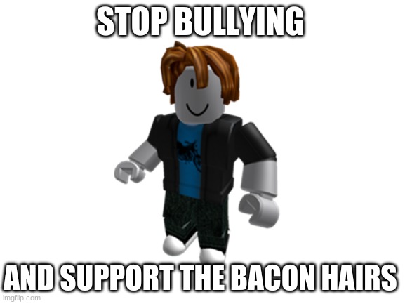 support the bacons! | STOP BULLYING; AND SUPPORT THE BACON HAIRS | image tagged in roblox bacon hair | made w/ Imgflip meme maker