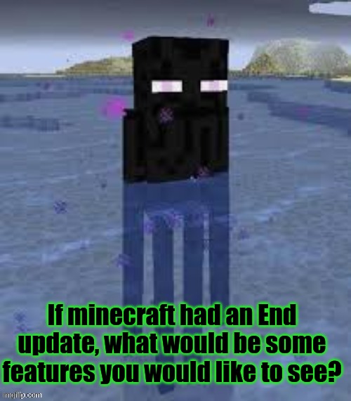 New types of blocks, mobs, end biomes, structures, etc. | If minecraft had an End update, what would be some features you would like to see? | image tagged in cursed enderman,new types,minecraft,survey | made w/ Imgflip meme maker