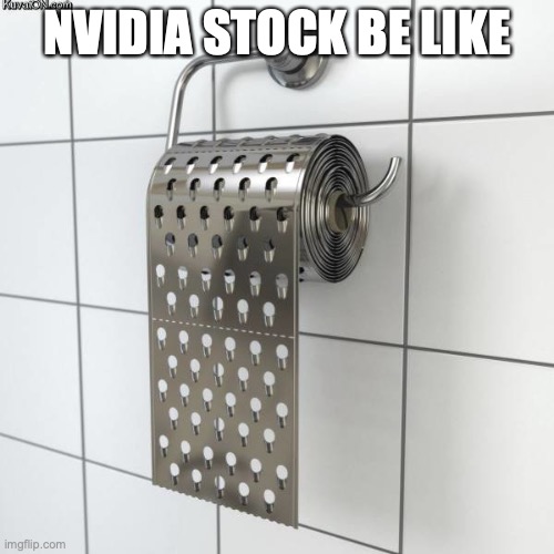 Metal toilet paper | NVIDIA STOCK BE LIKE | image tagged in metal toilet paper,Limenade | made w/ Imgflip meme maker