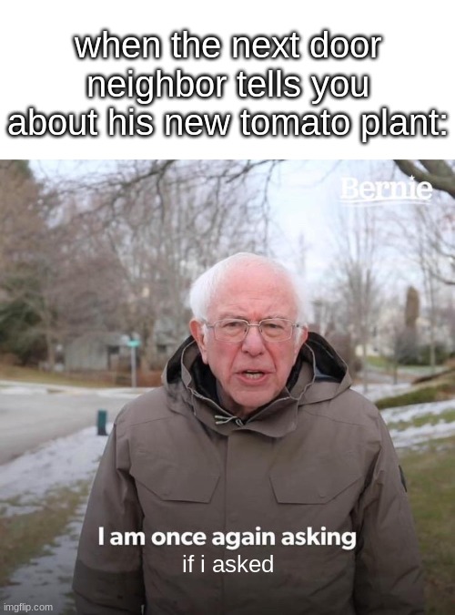 Relatable, am a right? | when the next door neighbor tells you about his new tomato plant:; if i asked | image tagged in memes,bernie i am once again asking for your support | made w/ Imgflip meme maker