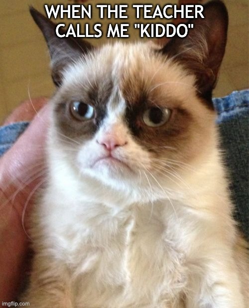 Is this a good meme, kiddos? | WHEN THE TEACHER CALLS ME "KIDDO" | image tagged in memes,grumpy cat | made w/ Imgflip meme maker