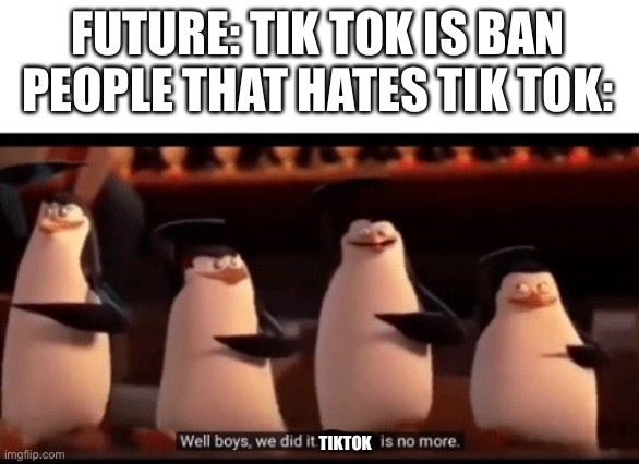 Well boys, we did it (blank) is no more | FUTURE: TIK TOK IS BAN
PEOPLE THAT HATES TIK TOK:; TIKTOK | image tagged in well boys we did it blank is no more | made w/ Imgflip meme maker