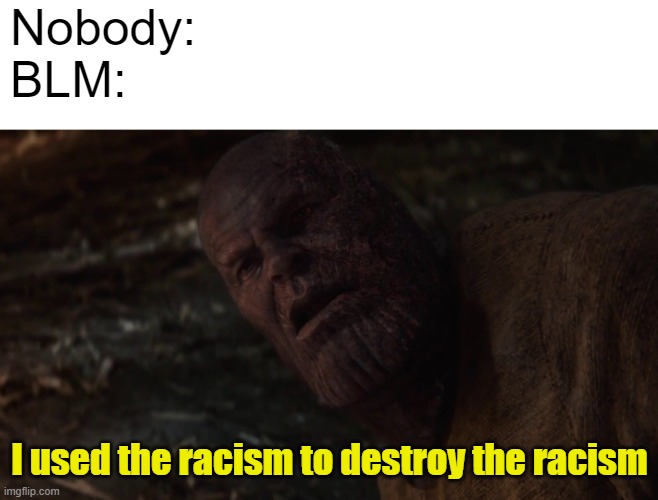 i used the stones to destroy the stones | Nobody:
BLM:; I used the racism to destroy the racism | image tagged in i used the stones to destroy the stones,blm,politics,racism | made w/ Imgflip meme maker