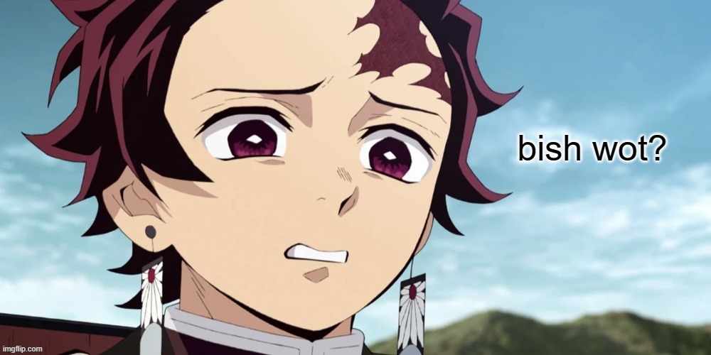 Demon Slayer Bish Wot? | image tagged in demon slayer bish wot | made w/ Imgflip meme maker