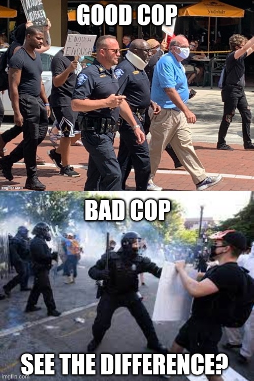 there are the good and the "please take me to hell satan i stan you" | GOOD COP; BAD COP; SEE THE DIFFERENCE? | image tagged in blm,police brutality | made w/ Imgflip meme maker