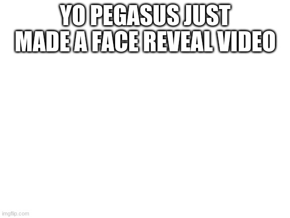 Blank White Template | YO PEGASUS JUST MADE A FACE REVEAL VIDEO | image tagged in blank white template | made w/ Imgflip meme maker