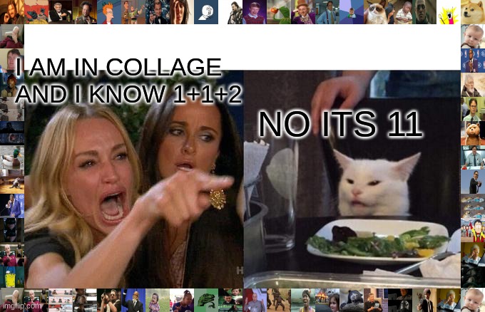 1+1 =11 | I AM IN COLLAGE AND I KNOW 1+1+2; NO ITS 11 | image tagged in memes,woman yelling at cat | made w/ Imgflip meme maker