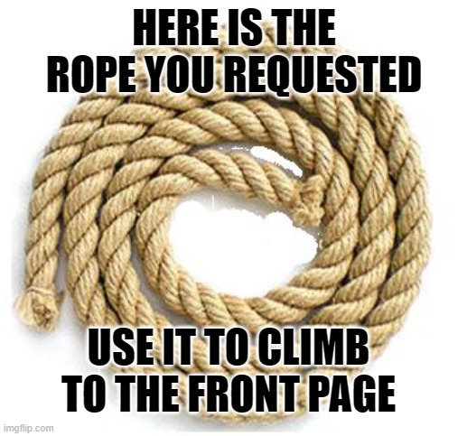 rope | HERE IS THE ROPE YOU REQUESTED USE IT TO CLIMB TO THE FRONT PAGE | image tagged in rope | made w/ Imgflip meme maker