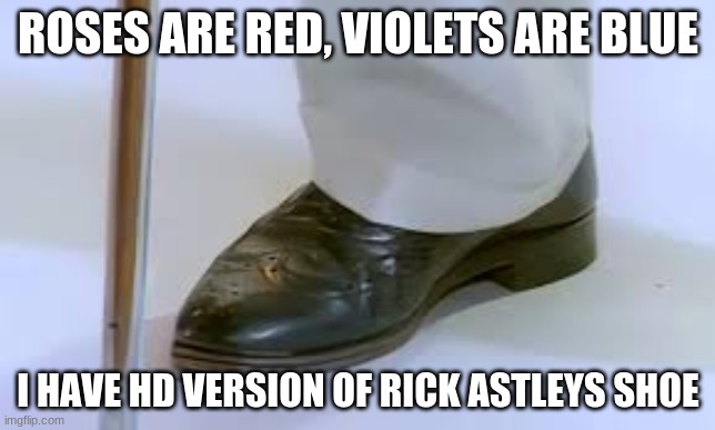 Hold up, I recognize this shoe | ROSES ARE RED, VIOLETS ARE BLUE; I HAVE HD VERSION OF RICK ASTLEYS SHOE | image tagged in memes | made w/ Imgflip meme maker