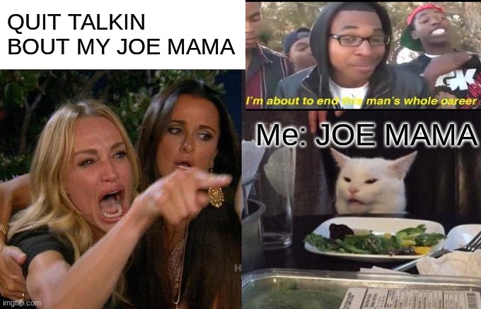 JOE MAMA | QUIT TALKIN BOUT MY JOE MAMA; Me: JOE MAMA | image tagged in memes,woman yelling at cat | made w/ Imgflip meme maker