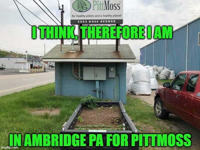 I Think Therefore I Am. | I THINK, THEREFORE I AM; IN AMBRIDGE PA FOR PITTMOSS | image tagged in gardening | made w/ Imgflip meme maker
