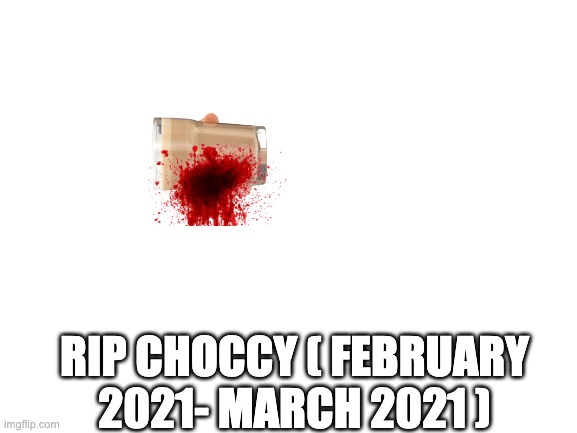 Blank White Template | RIP CHOCCY ( FEBRUARY 2021- MARCH 2021 ) | image tagged in blank white template | made w/ Imgflip meme maker