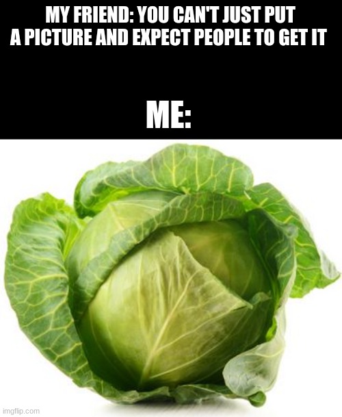 Cabbage | MY FRIEND: YOU CAN'T JUST PUT A PICTURE AND EXPECT PEOPLE TO GET IT; ME: | image tagged in cabbage | made w/ Imgflip meme maker