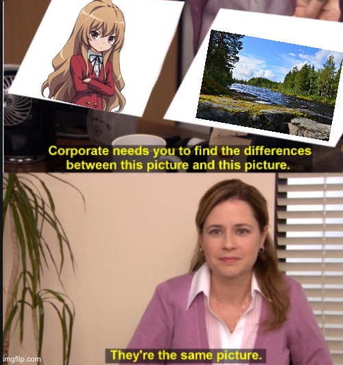 Taiga | image tagged in they're the same picture | made w/ Imgflip meme maker