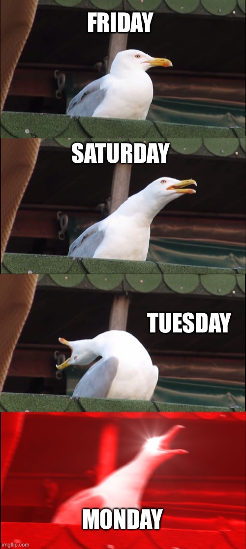 Weekdays | FRIDAY; SATURDAY; TUESDAY; MONDAY | image tagged in memes,inhaling seagull | made w/ Imgflip meme maker