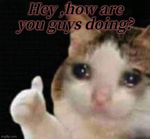 Just Checking In :). | Hey ,how are you guys doing? | image tagged in approved crying cat | made w/ Imgflip meme maker