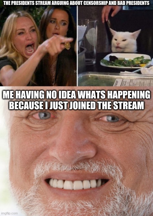 i swear i just joined and i have no idea who to vote and what i do | THE PRESIDENTS STREAM ARGUING ABOUT CENSORSHIP AND BAD PRESIDENTS; ME HAVING NO IDEA WHATS HAPPENING BECAUSE I JUST JOINED THE STREAM | image tagged in angry lady cat,hide the pain harold | made w/ Imgflip meme maker
