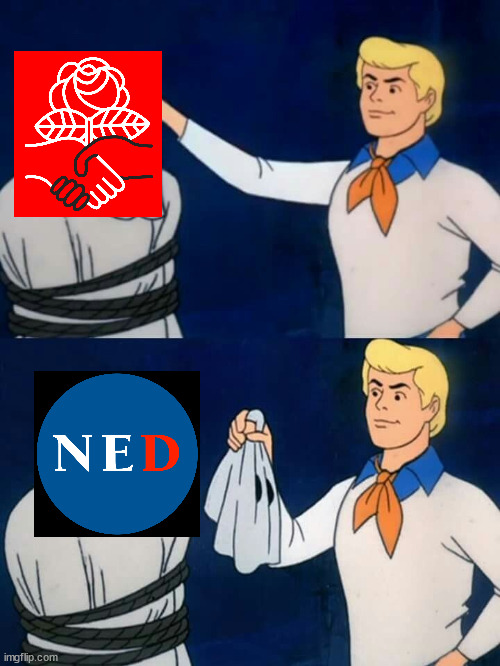 DSA is a cuckshed for the intelligence community | image tagged in scooby doo mask reveal | made w/ Imgflip meme maker